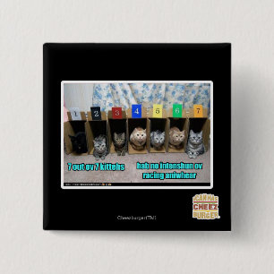 7 out ov 7 kittehs 15 cm square badge