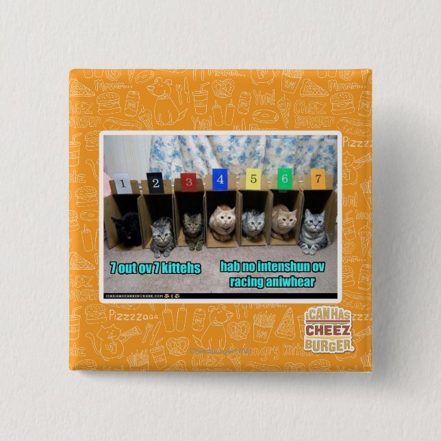 7 out ov 7 kittehs 15 cm square badge (Front)