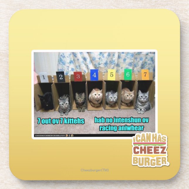 7 out ov 7 kittehs coaster (Front)