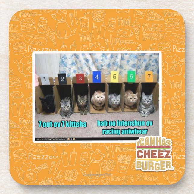 7 out ov 7 kittehs coaster (Front)