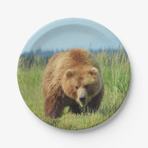 7" Paper Plate w/ grizzly bear