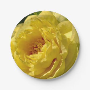 7" paper plates, Double Yellow Peony Plate