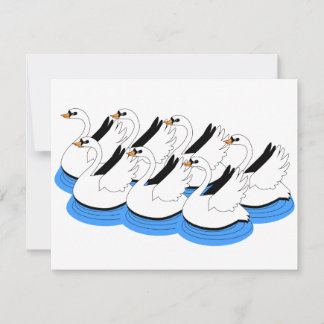 7 Swans Swimming