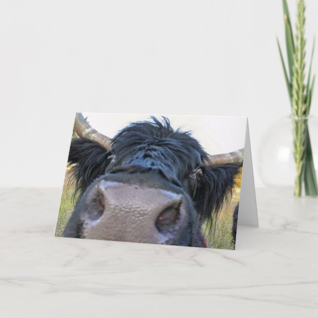 7"x5" Folded Card || Banana Peel Cow (Front)