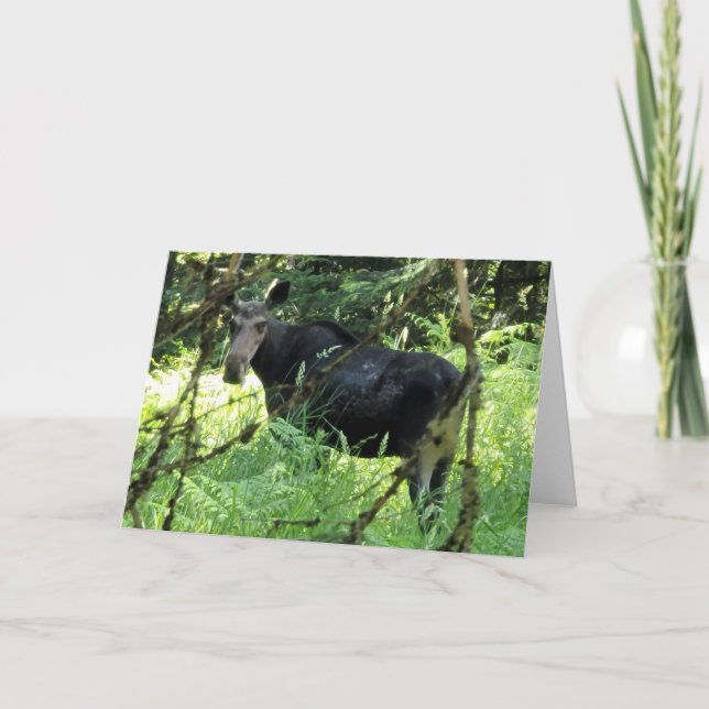 7"x5" Folded Card || Moose Lunch (Front)