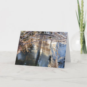7"x5" Folded Card Pond Pollen Scum