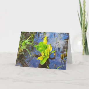 7"x5" Folded Card    Skunk Cabbage