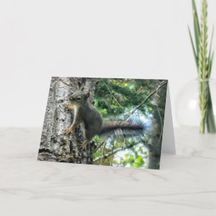 7"x5" Folded Card    Tree Squirrel Photo Paint