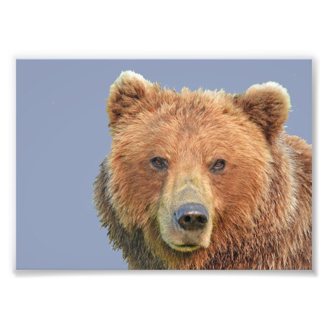 7x5 Kodak Professional Photo Paper (Satin) Print (Front)