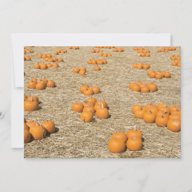 7x5 Thanksgiving Card (Front)