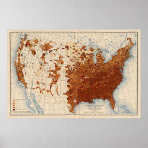 80 Proportion illiterates Negro voters Poster