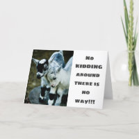 **80th** BIRTHDAY WISHES TO A "YOUNG KID"