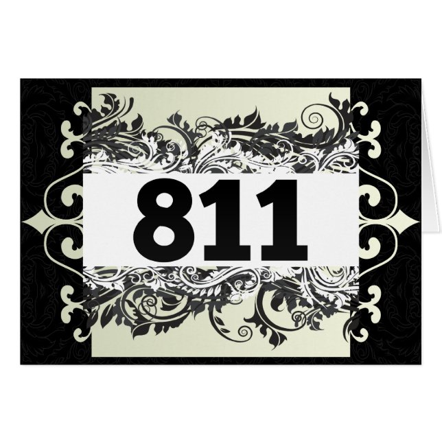 811 (Front Horizontal)