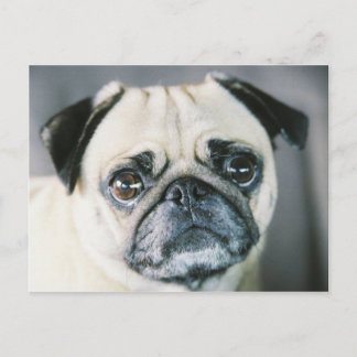 850203-R1-017-7 POSTCARD