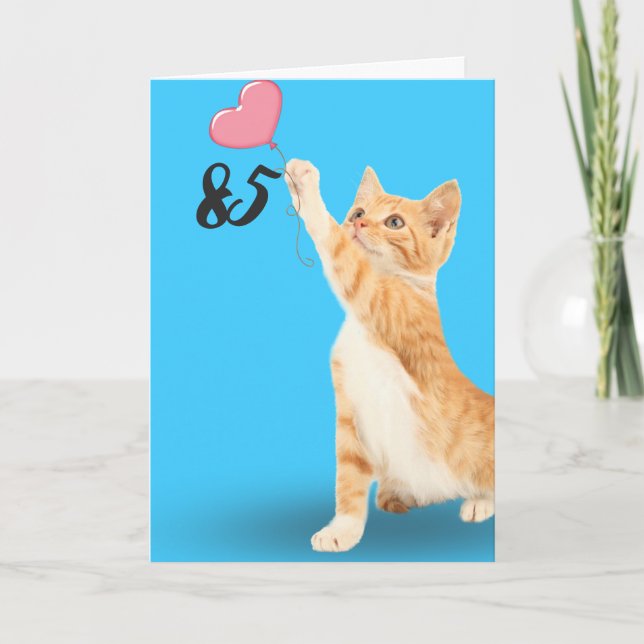 85th birthday tabby cat card (Front)