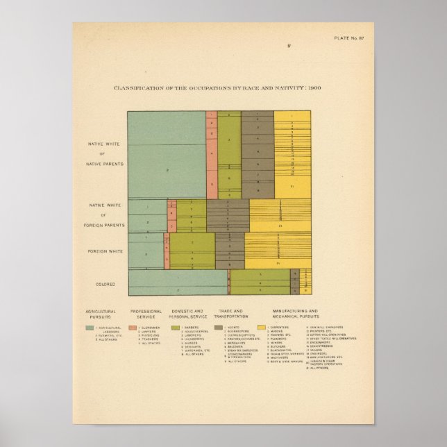 87 Occupations by race, nativity 1900 Poster (Front)