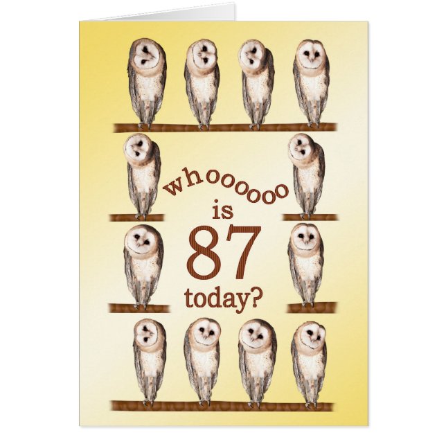 87th birthday, Curious owls card. (Front)