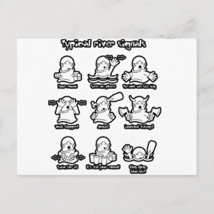 88_River_signals2 Postcard