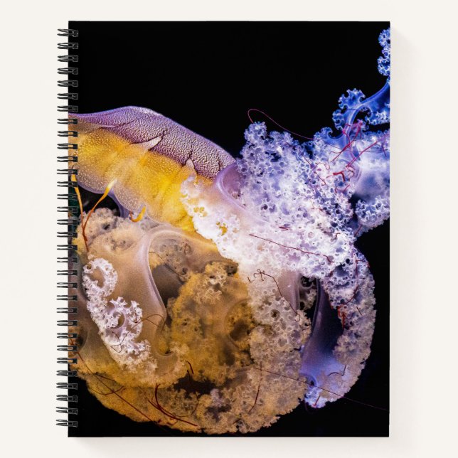 8.5" x 11" Spiral Notebook (Front)