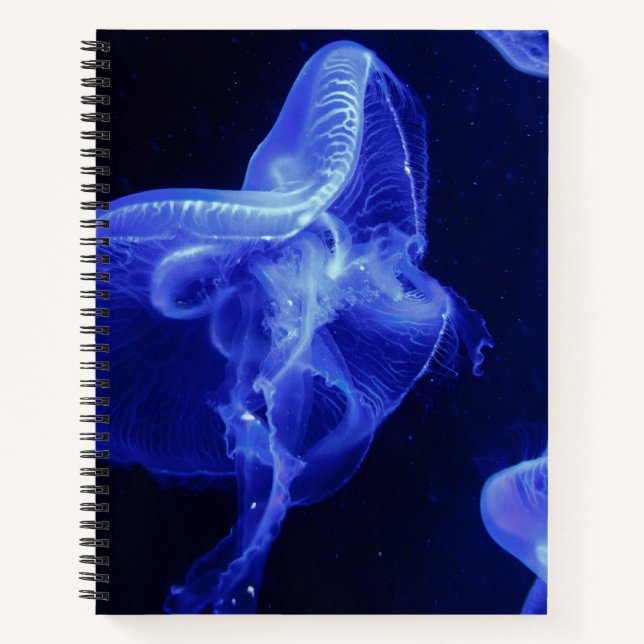 8.5" x 11" Spiral Notebook (Front)