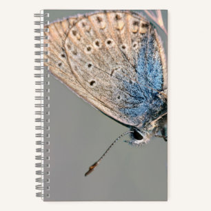 8.5" x 8.5" Spiral Notebook