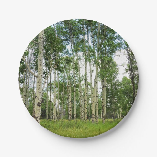 8 Paper Plates Quaking Aspens (Front)