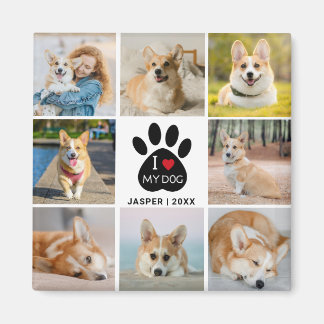 8 Photo Collage I Love My Dog Paw Print  Magnet