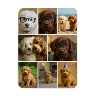 8 Photo Collage Personalized Custom Magnet