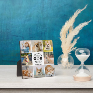 8 Photo Collage Pet Memorial Remembrance  Plaque