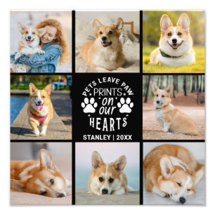 8 Photo Collage Pet Remembrance Photo Enlargement Print