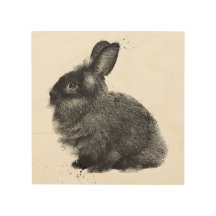 8" x 8" Portrait of a Black Lionhead Rabbit