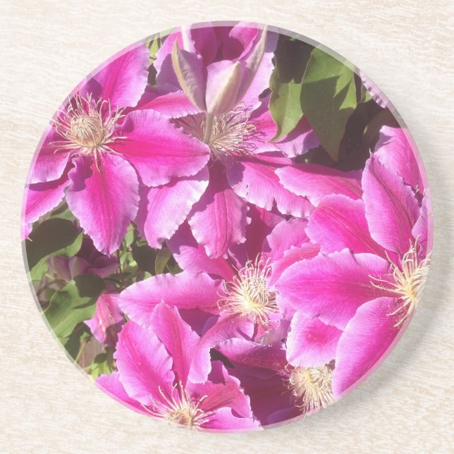 8th Anniversary, Clematis Coaster (Front)