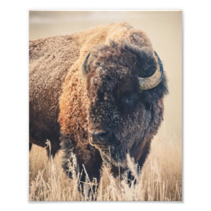 8x10 Print - Frosty Morning