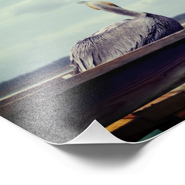 8x12 Photo - "Chillin' Pelican" St. Augustine, FL (Corner)