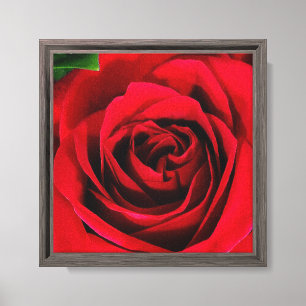 8X8 Rose Print on Canvas