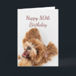 90th Birthday Fun Begin Cute Dog Puppy Pet Card<br><div class="desc">90th Birthday Fun Begin Cute Dog Puppy Pet</div>