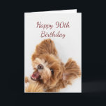 90th Birthday Fun Beging Cute Dog Puppy Pet Card<br><div class="desc">90th Birthday Fun Beging Cute Dog Puppy Pet</div>