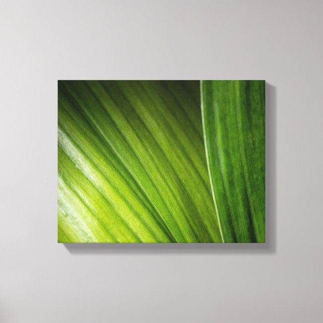 9206-Green Leaves Canvas Print (Front)