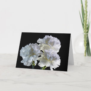 9515-White Carnations Card