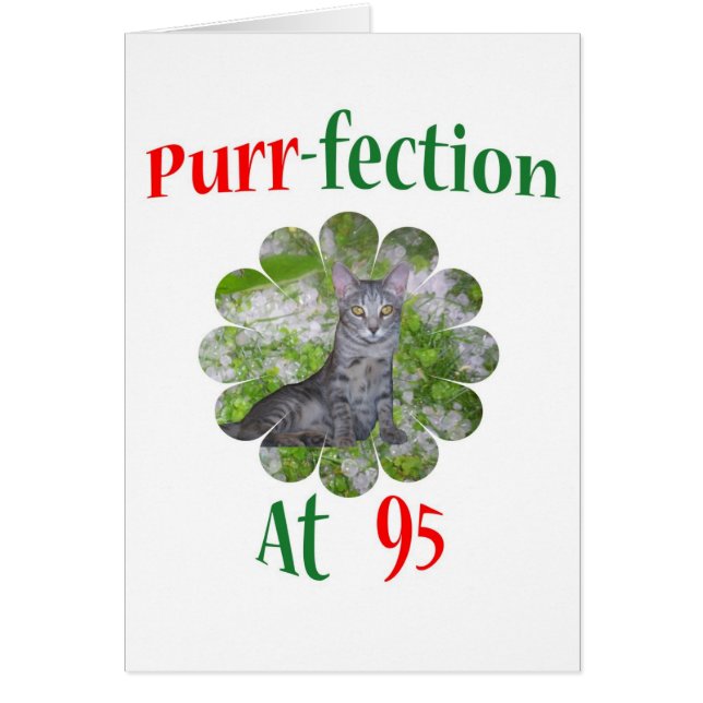 95 Purr-fection (Front)