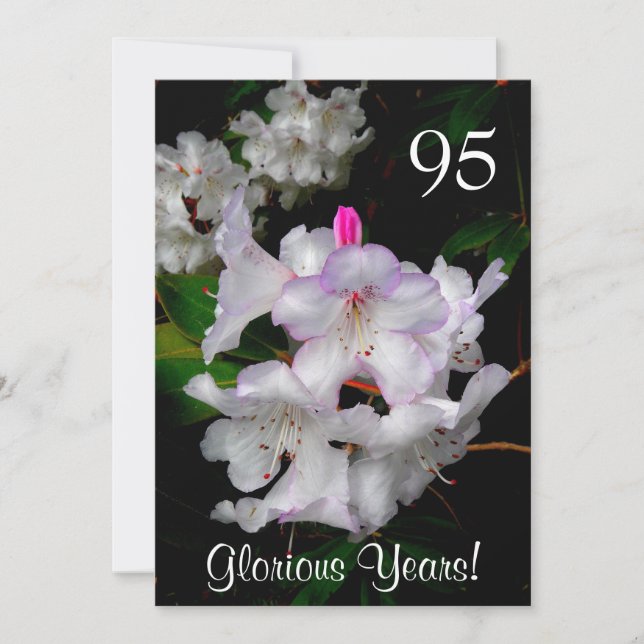 95th Birthday Celebration/Elegant Pink Azaleas Invitation (Front)