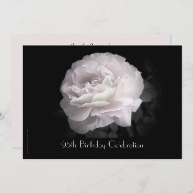 95th Birthday Party Celebration Pale Pink Rose Invitation (Front/Back)
