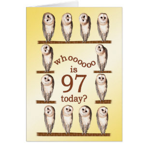 97th birthday, Curious owls card.