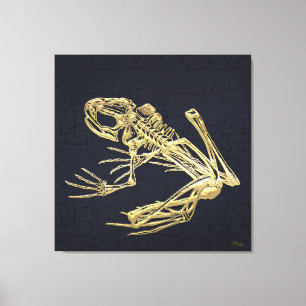 999.9: Frog Skeleton Canvas Print