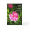 99th Birthday Card - Pink Roses