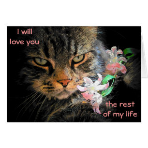 9 Lives to Love You Cat Meme