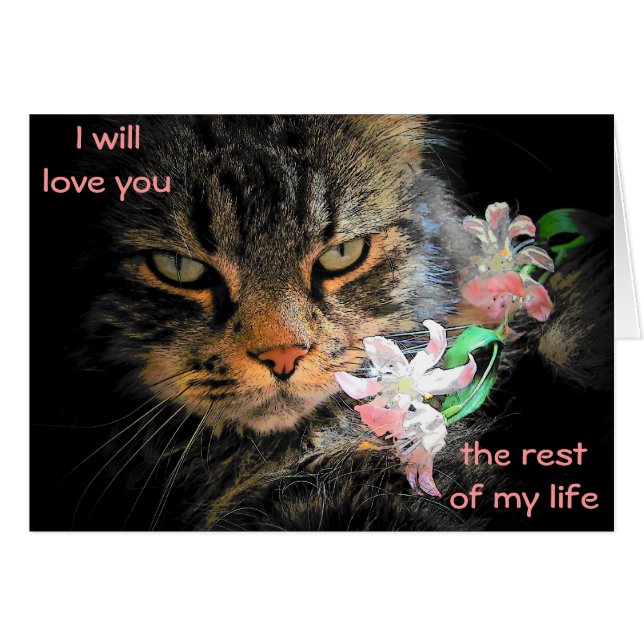 9 Lives to Love You Cat Meme (Front Horizontal)