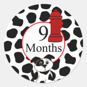 9 Months Firefighter Milestone Classic Round Sticker