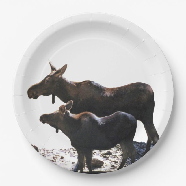  9" Paper Plate w/ moose (Front)