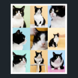 9 Photo Modern Collage Cat Dog Poster<br><div class="desc">A modern custom 9 photo collage poster ready for you to upload your favourite photos of your cat or dog . Beautiful framed or unframed. Original art ©Marisu Valencia</div>